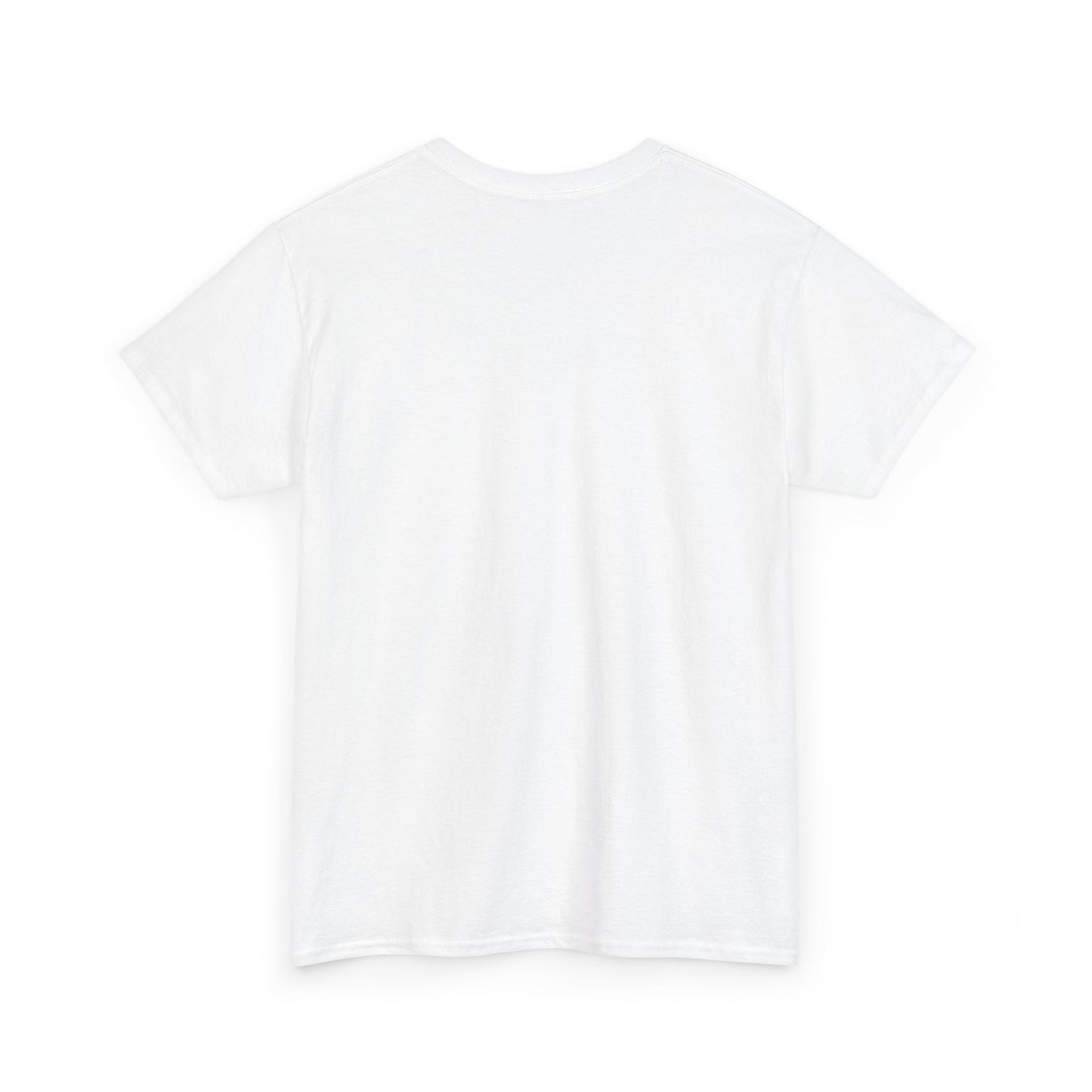 Shah Faisal Mosque T-Shirt — Islamabad Pakistan Landmark Tee