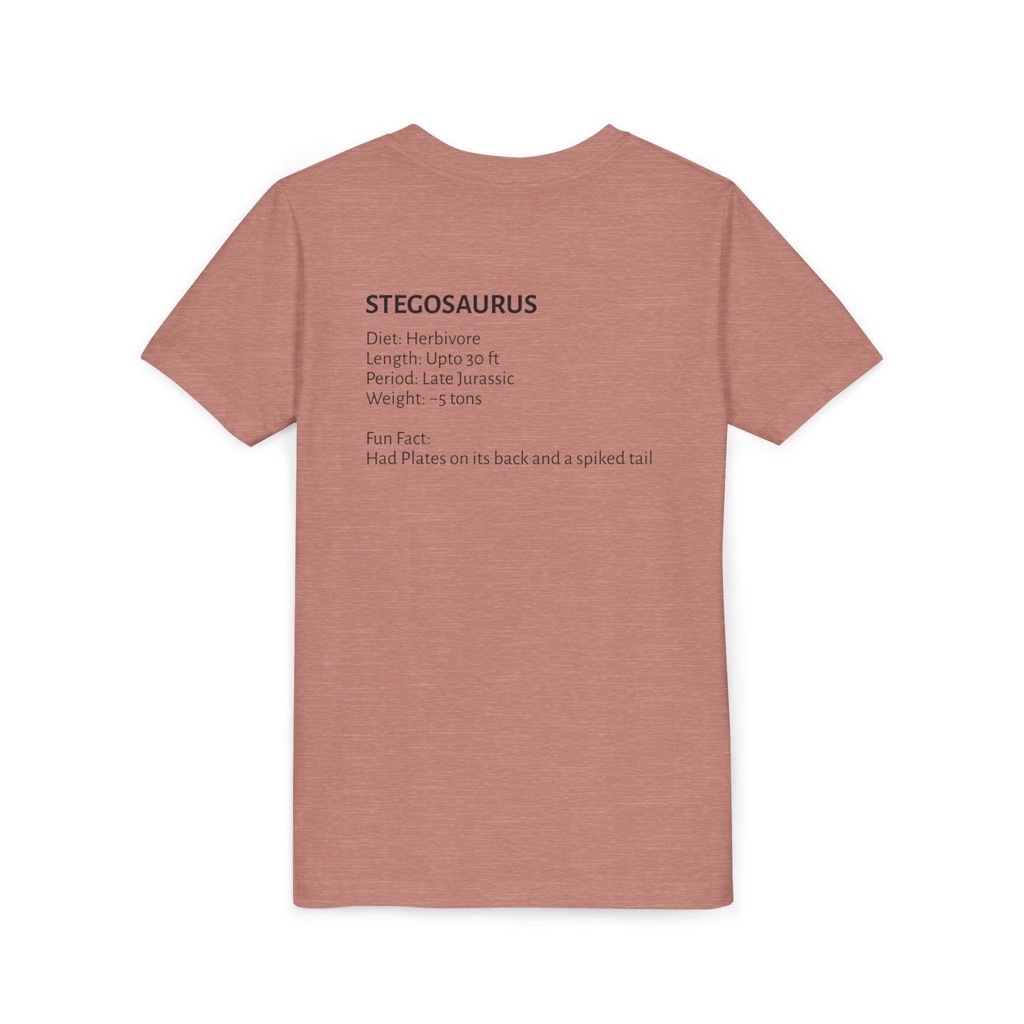 Stegosaurus educational youth t-shirt