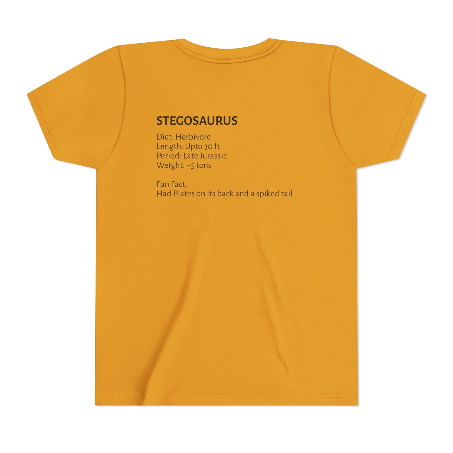 Stegosaurus educational youth t-shirt