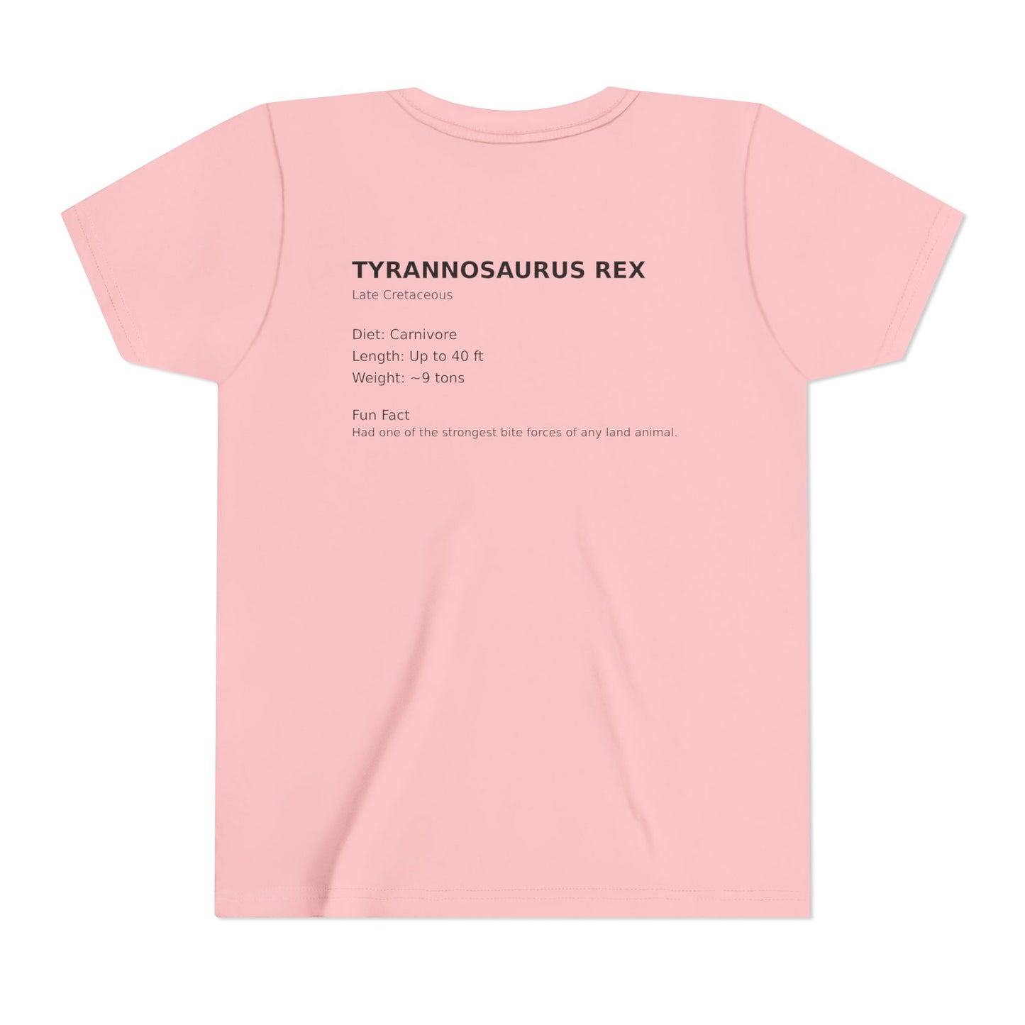 Tyrannosaurus Rex educational t-shirt youth t-shirt