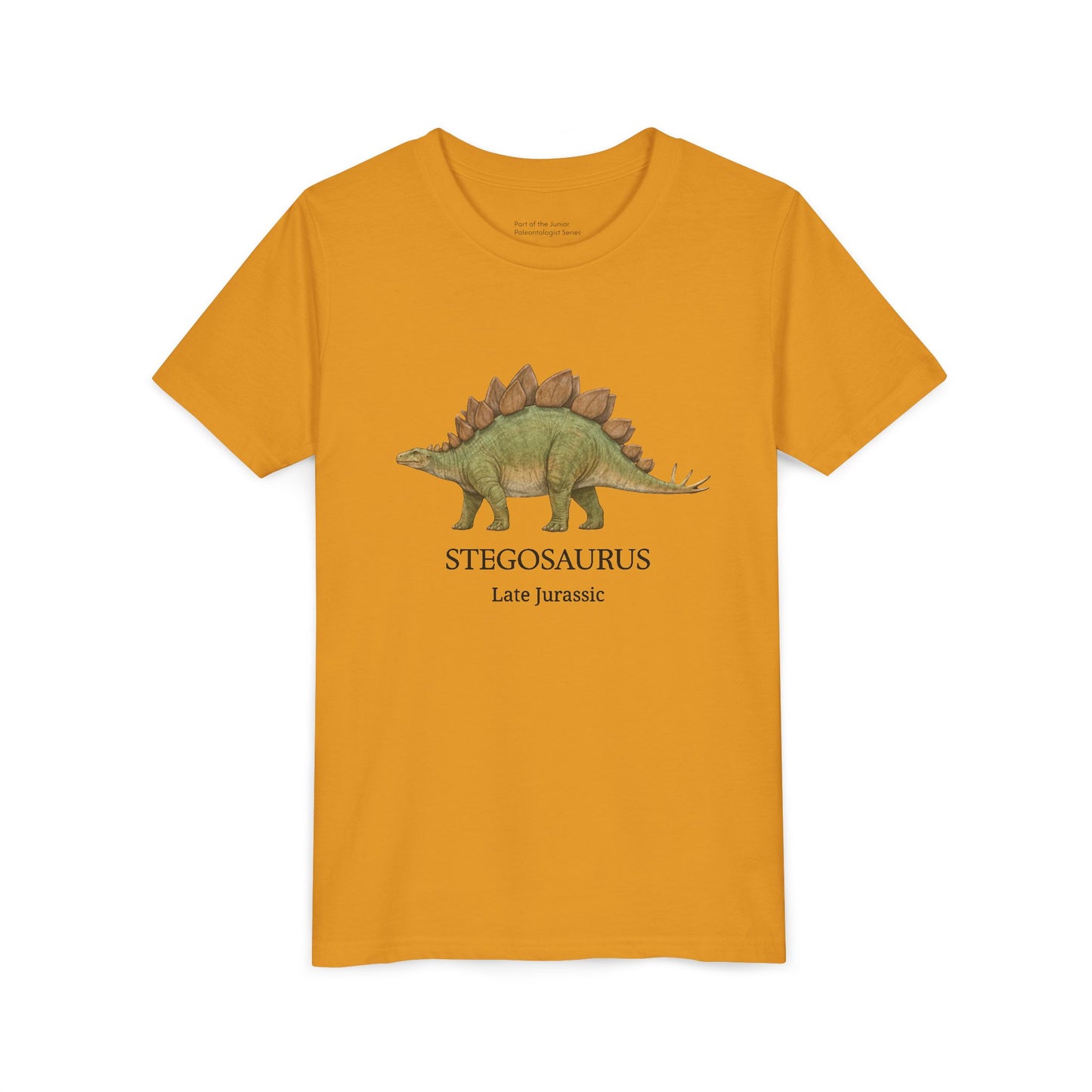 Stegosaurus educational youth t-shirt