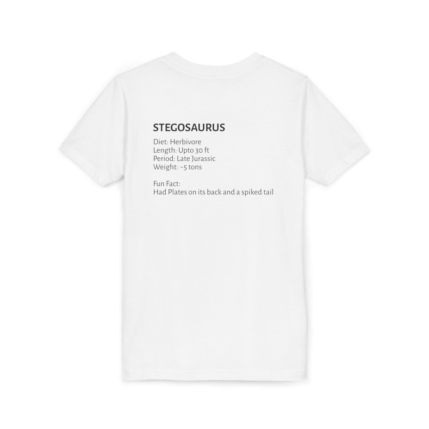 Stegosaurus educational youth t-shirt