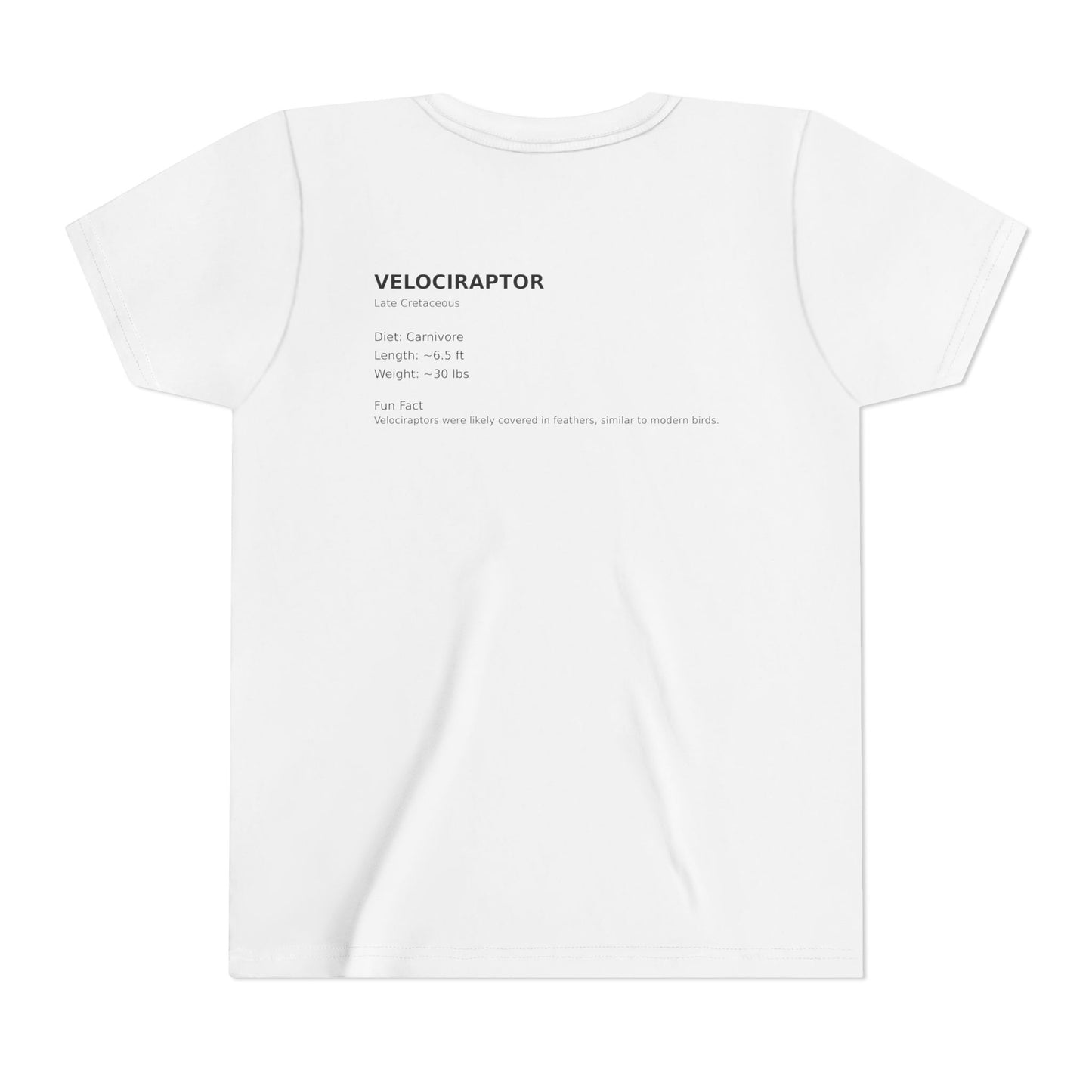 Velociraptor educational youth t-shirt