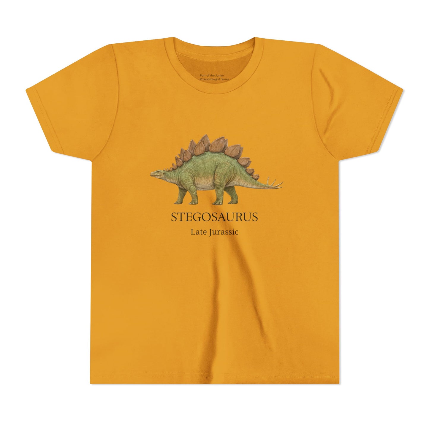 Stegosaurus educational youth t-shirt