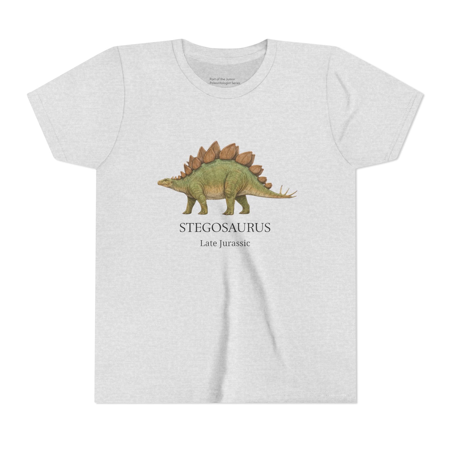 Stegosaurus educational youth t-shirt