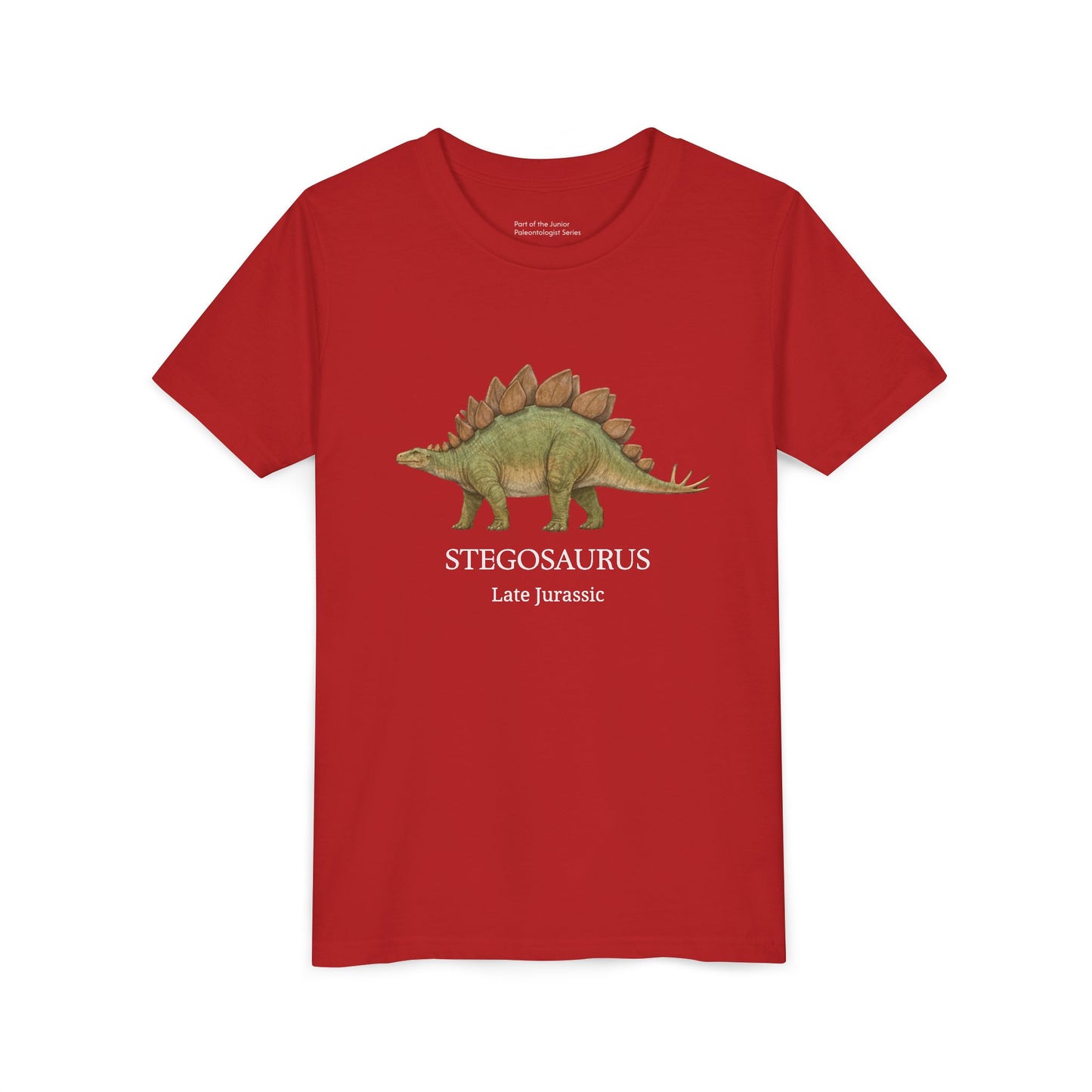 Stegosaurus educational youth t-shirt