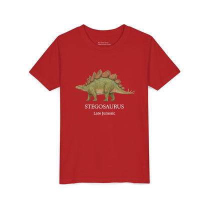 Stegosaurus educational youth t-shirt