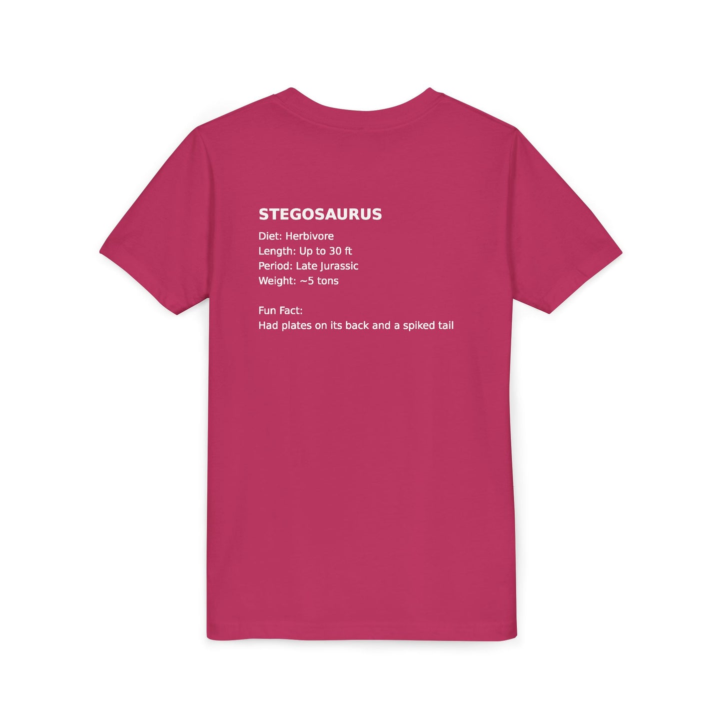 Stegosaurus educational youth t-shirt