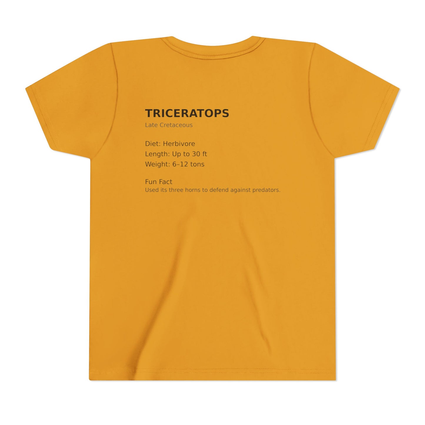 Triceratops educational youth t-shirt
