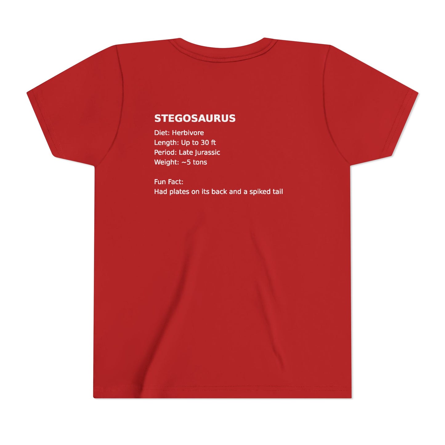 Stegosaurus educational youth t-shirt