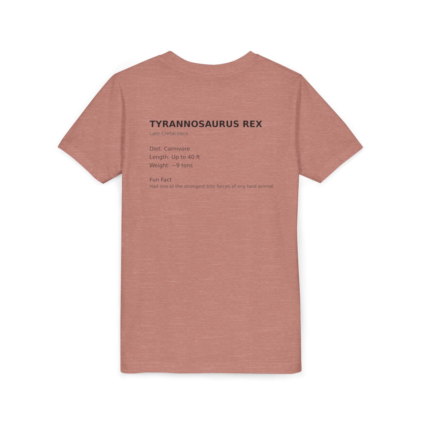 Tyrannosaurus Rex educational t-shirt youth t-shirt