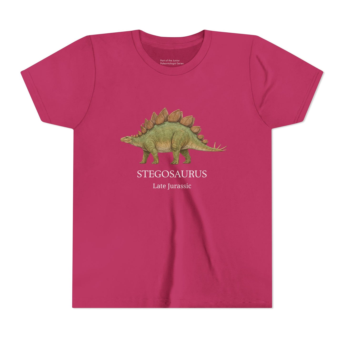 Stegosaurus educational youth t-shirt