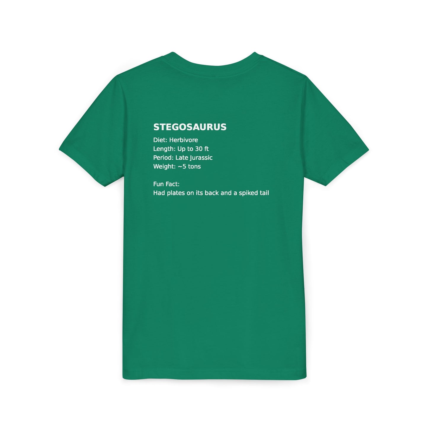 Stegosaurus educational youth t-shirt