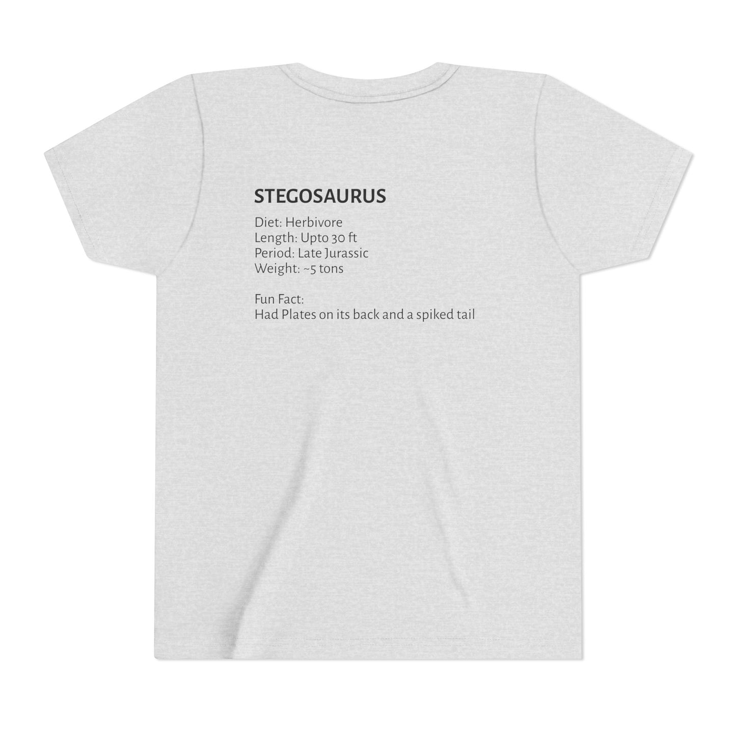 Stegosaurus educational youth t-shirt