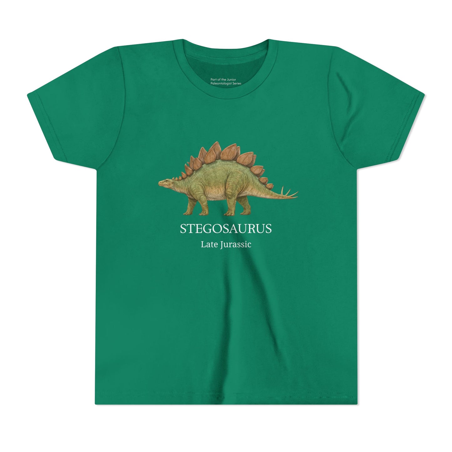 Stegosaurus educational youth t-shirt