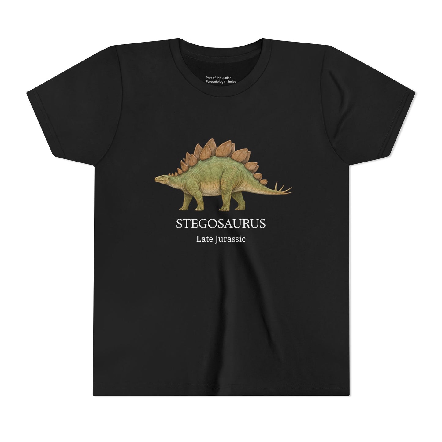 Stegosaurus educational youth t-shirt