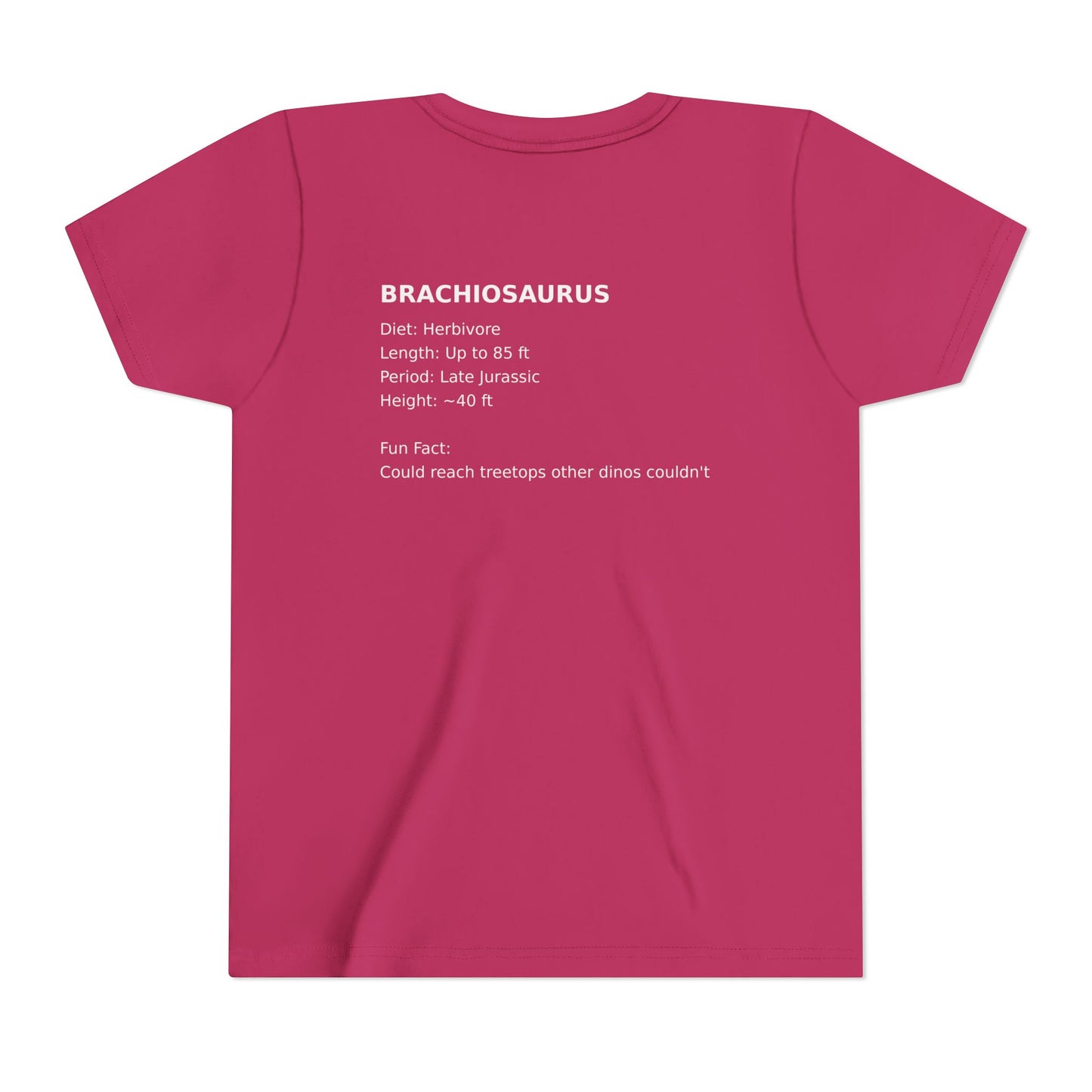Brachiosaurus educational youth t-shirt