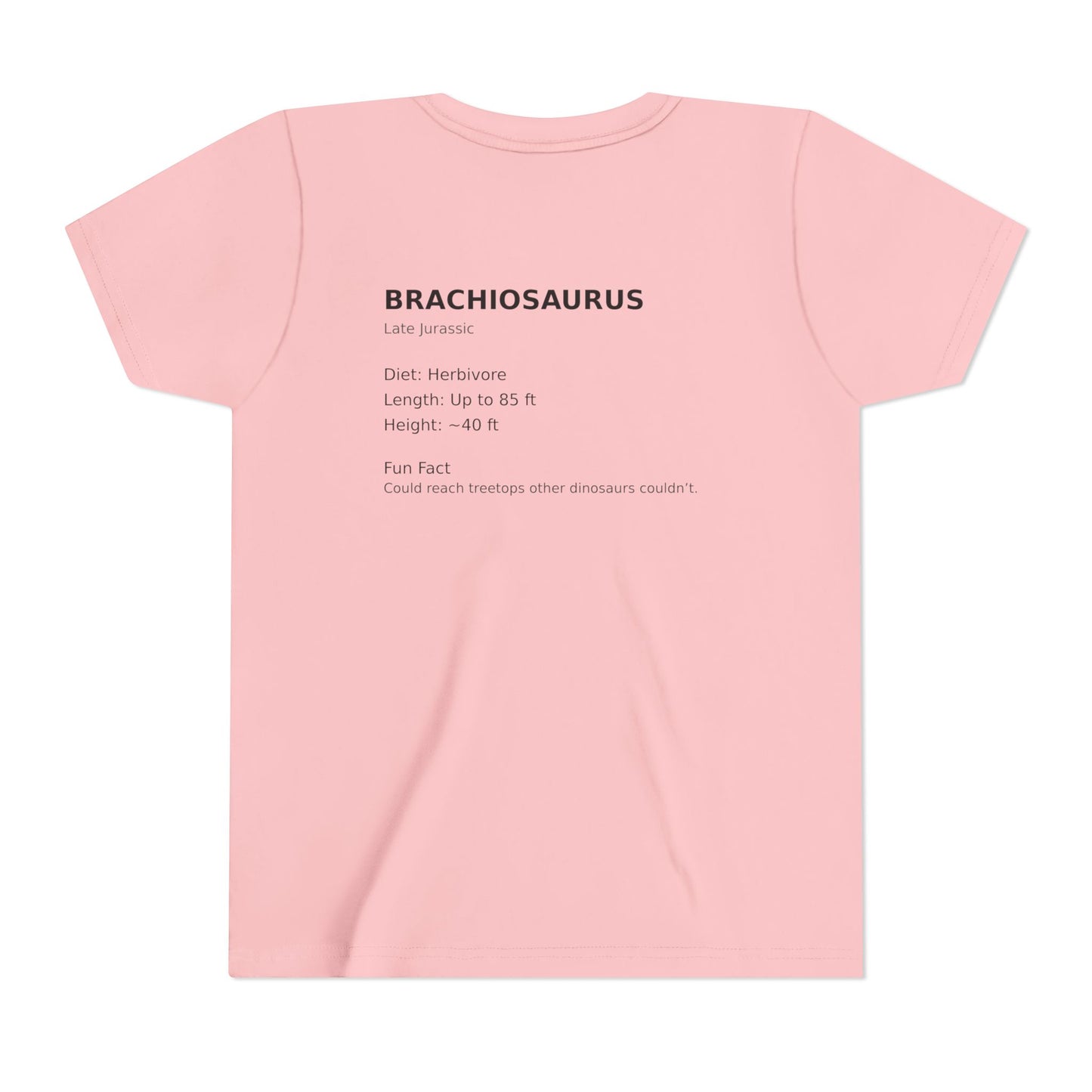 Brachiosaurus educational youth t-shirt