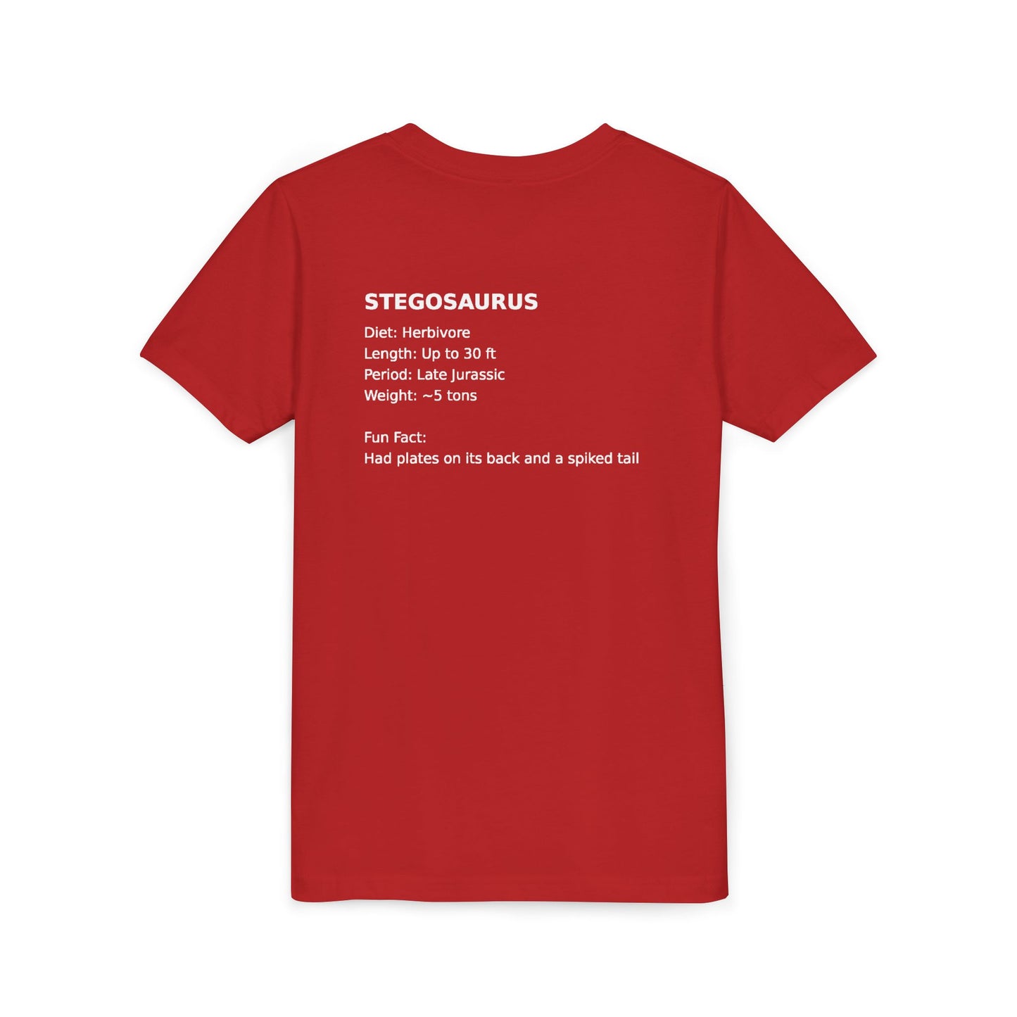 Stegosaurus educational youth t-shirt