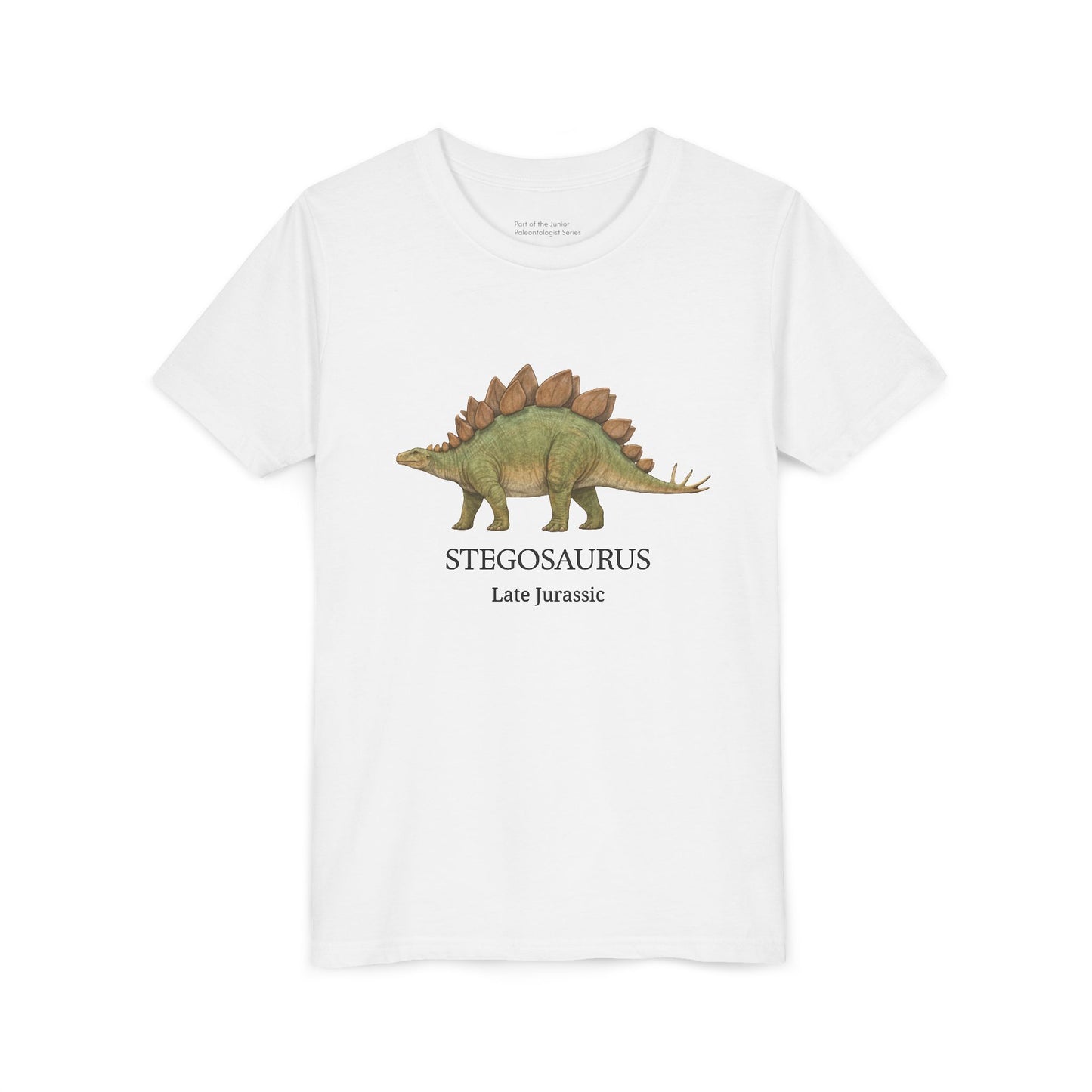 Stegosaurus educational youth t-shirt