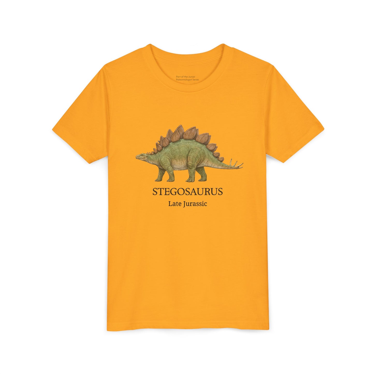 Stegosaurus educational youth t-shirt