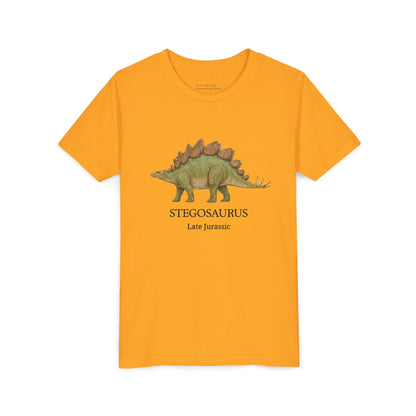 Stegosaurus educational youth t-shirt