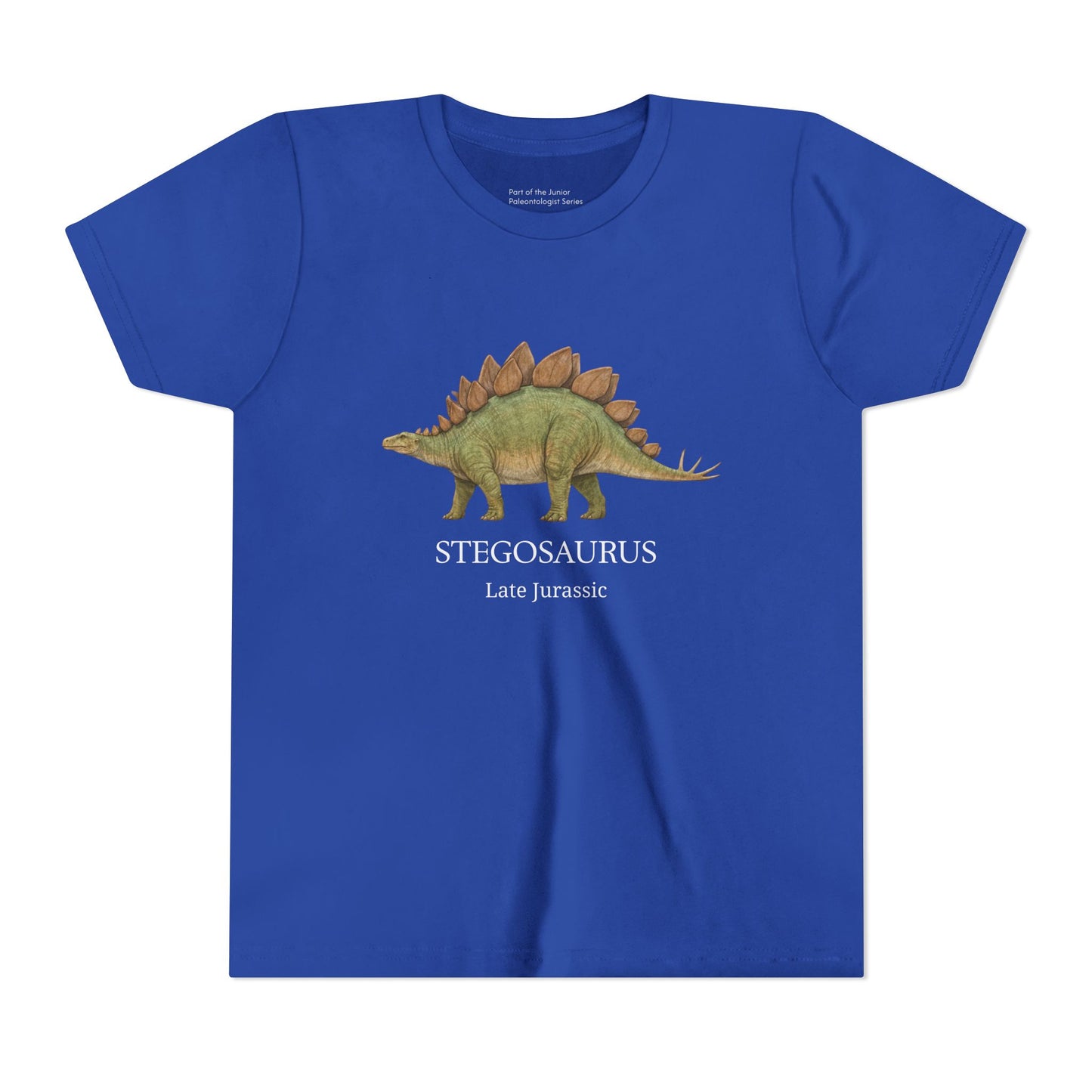 Stegosaurus educational youth t-shirt