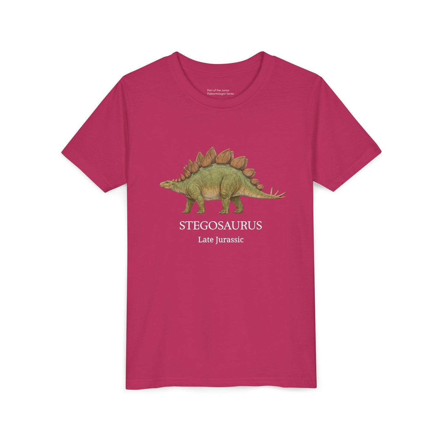 Stegosaurus educational youth t-shirt