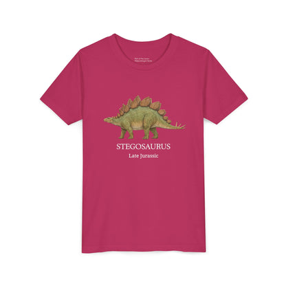 Stegosaurus educational youth t-shirt