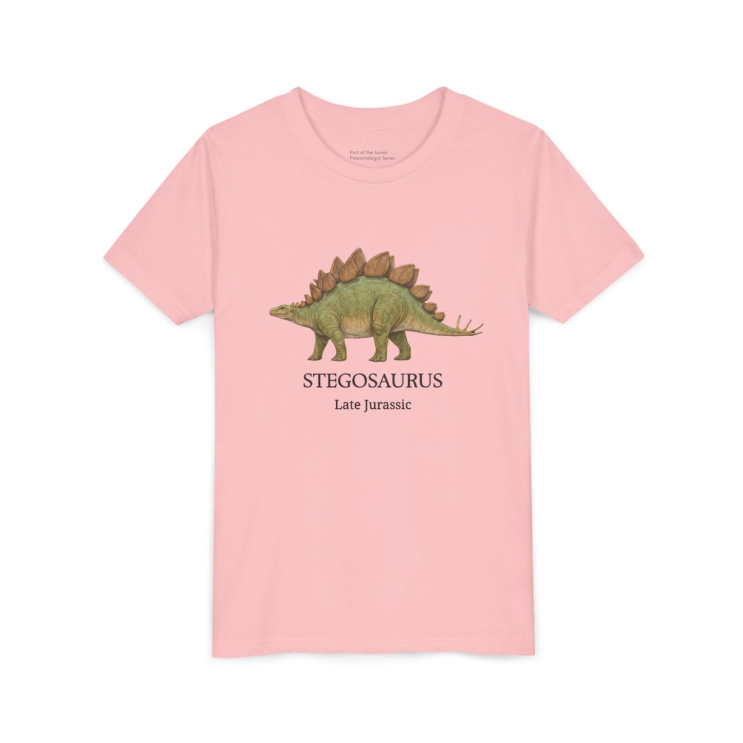 Stegosaurus educational youth t-shirt