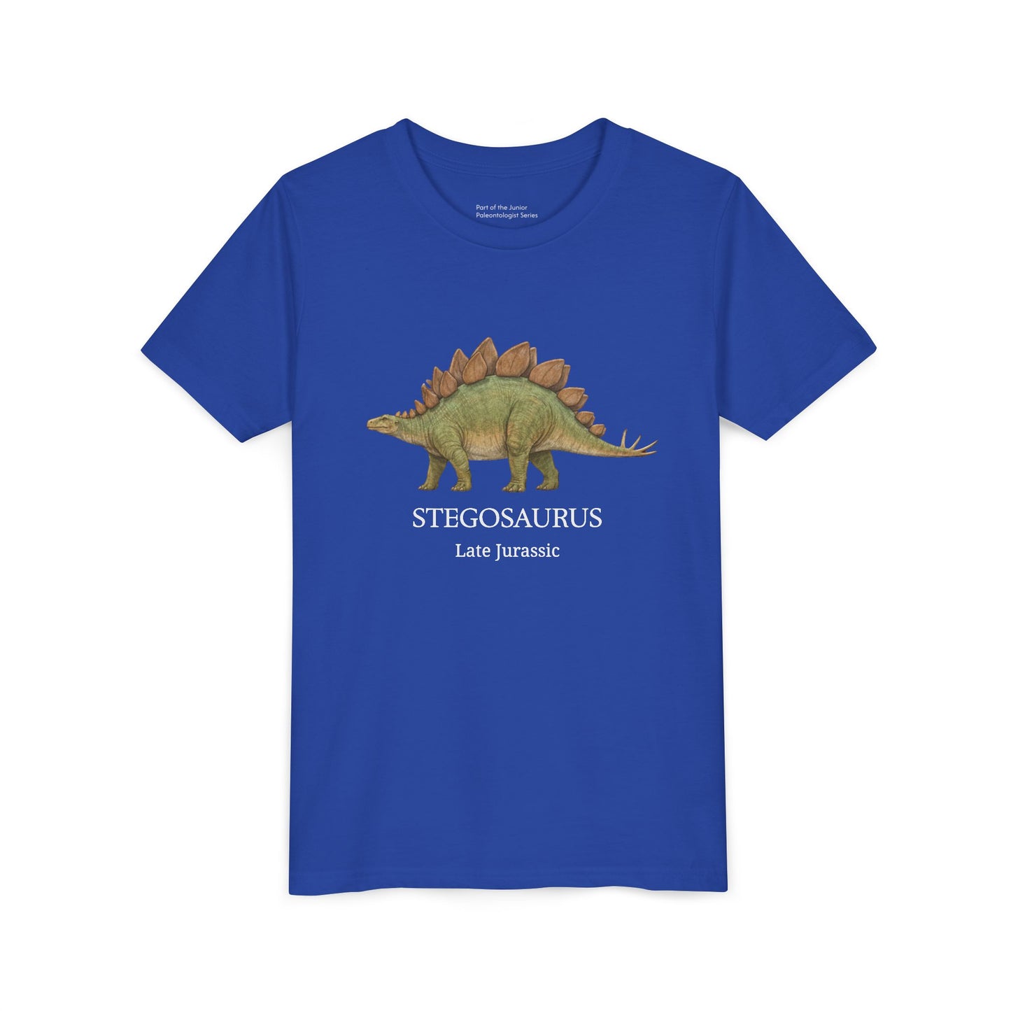 Stegosaurus educational youth t-shirt