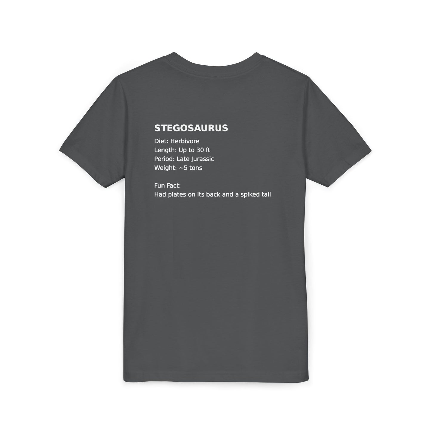 Stegosaurus educational youth t-shirt