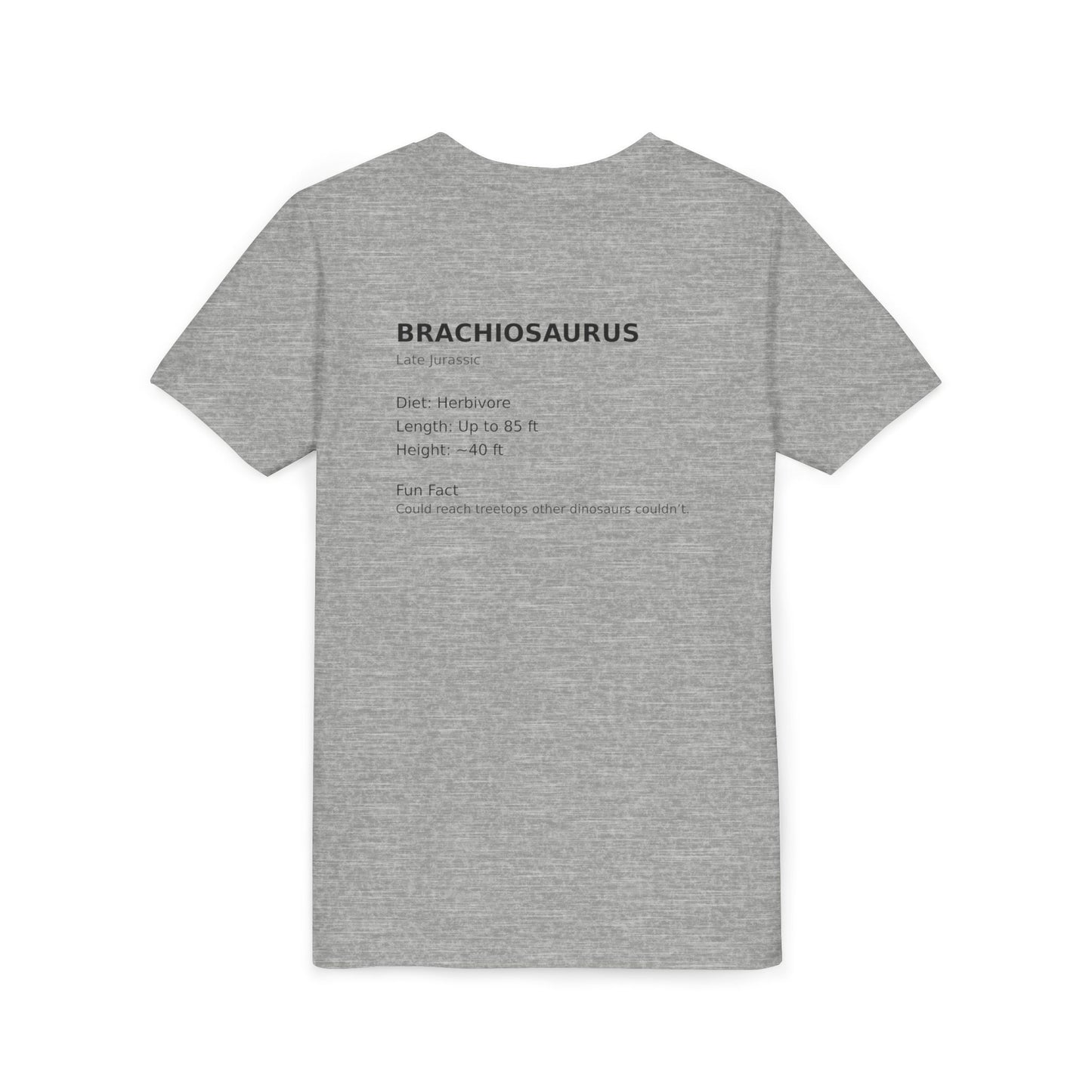 Brachiosaurus educational youth t-shirt