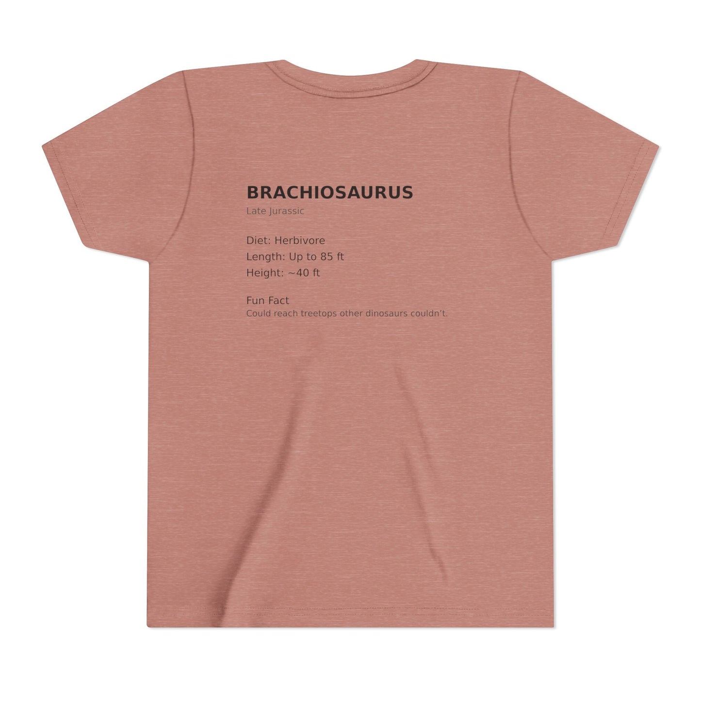 Brachiosaurus educational youth t-shirt