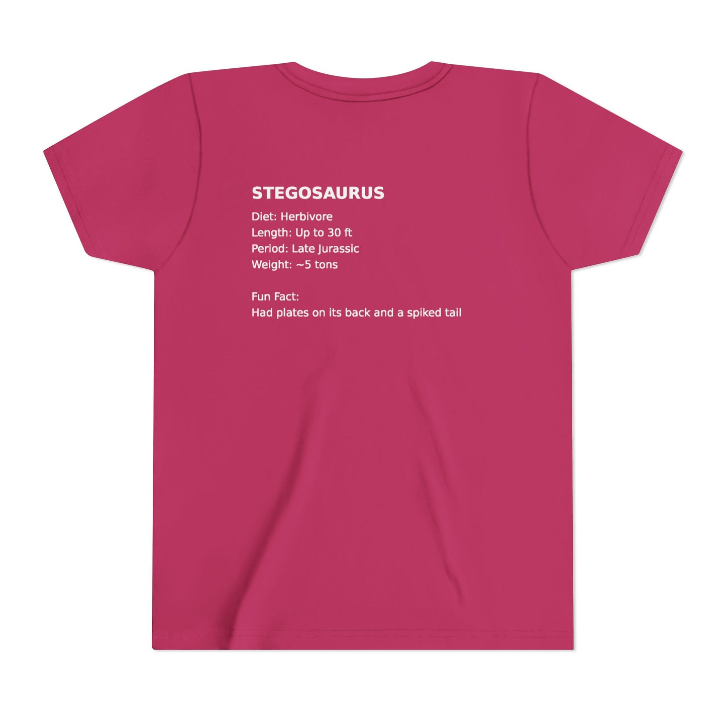 Stegosaurus educational youth t-shirt