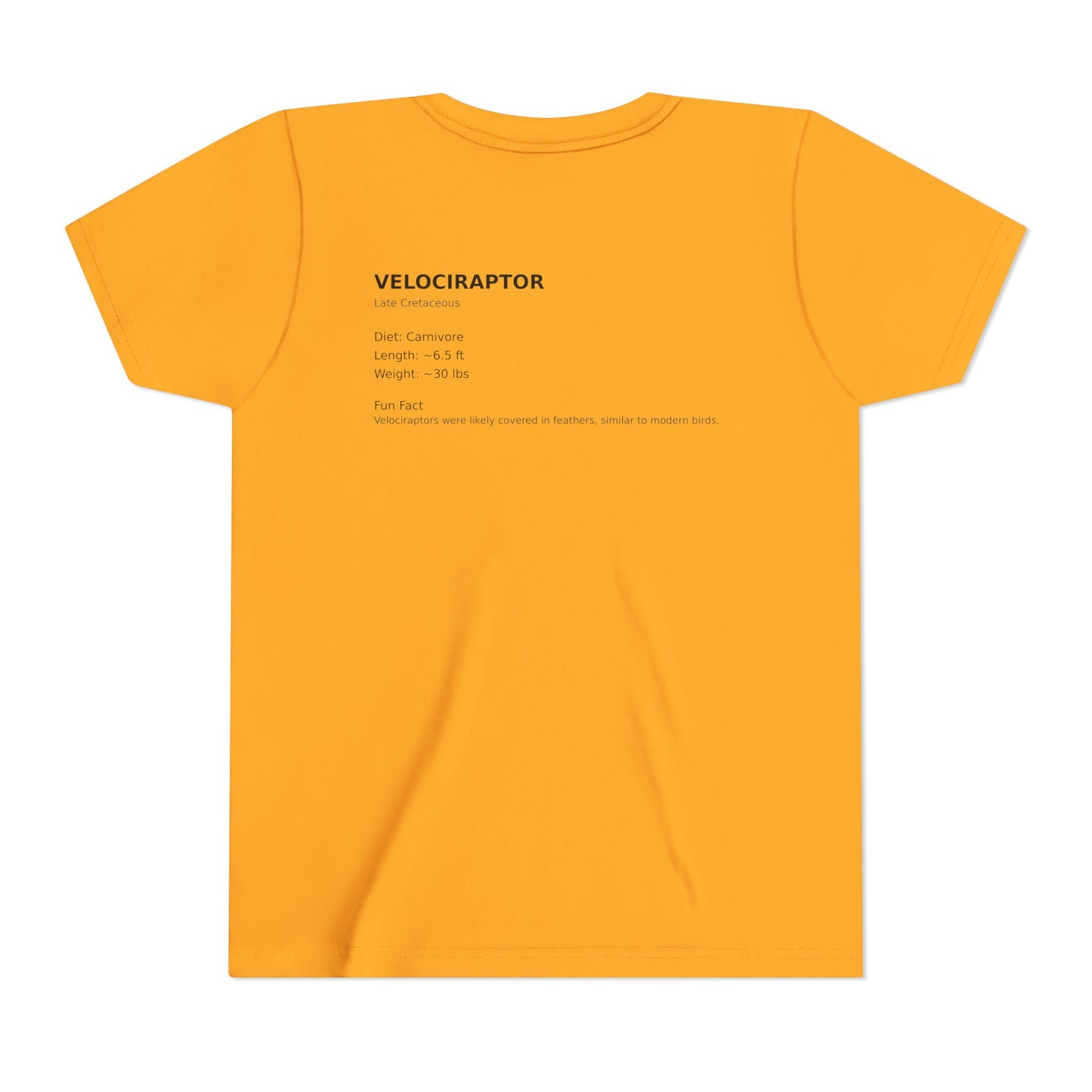 Velociraptor educational youth t-shirt