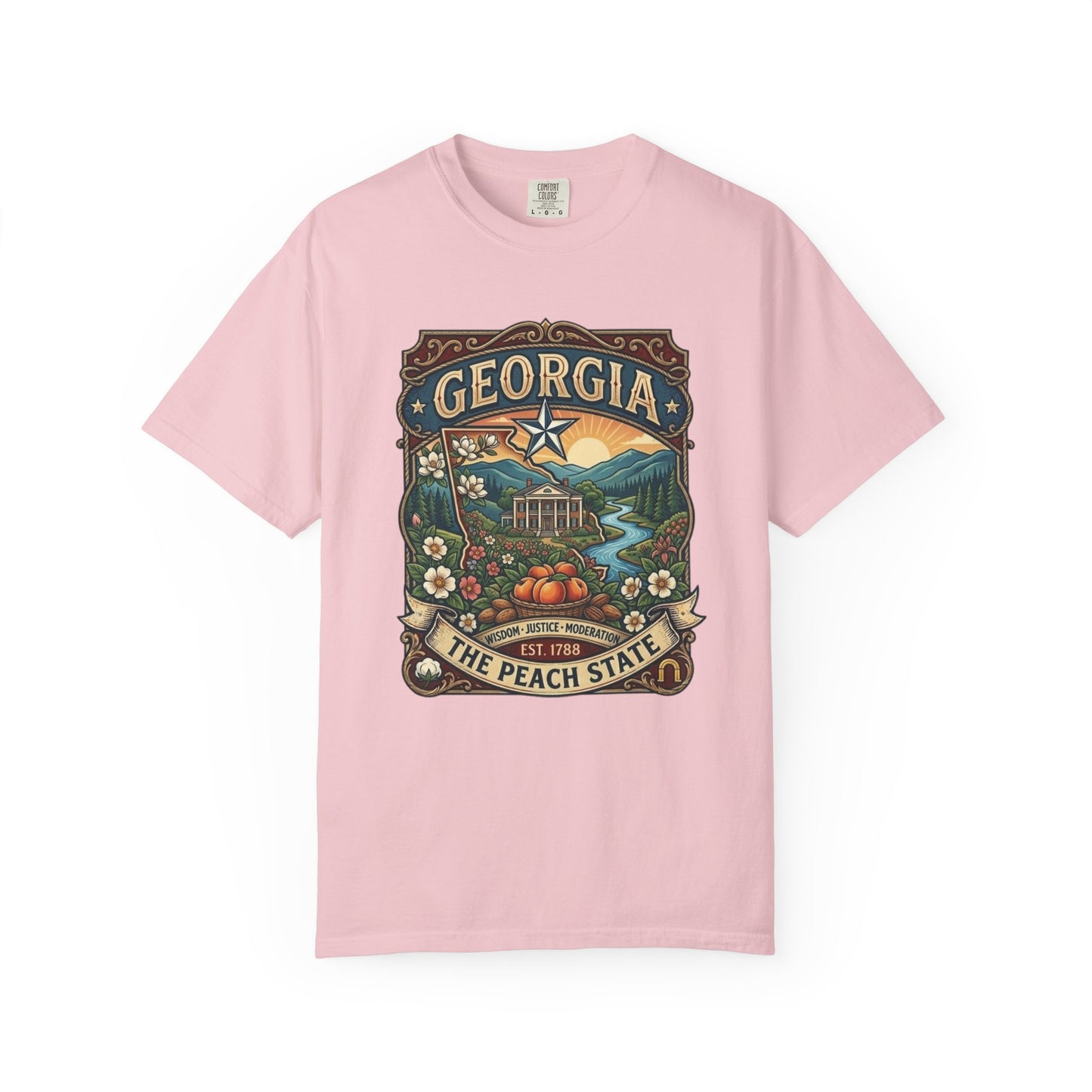 Georgia State Souvenir T-Shirt — State Symbols & Landmarks Tee