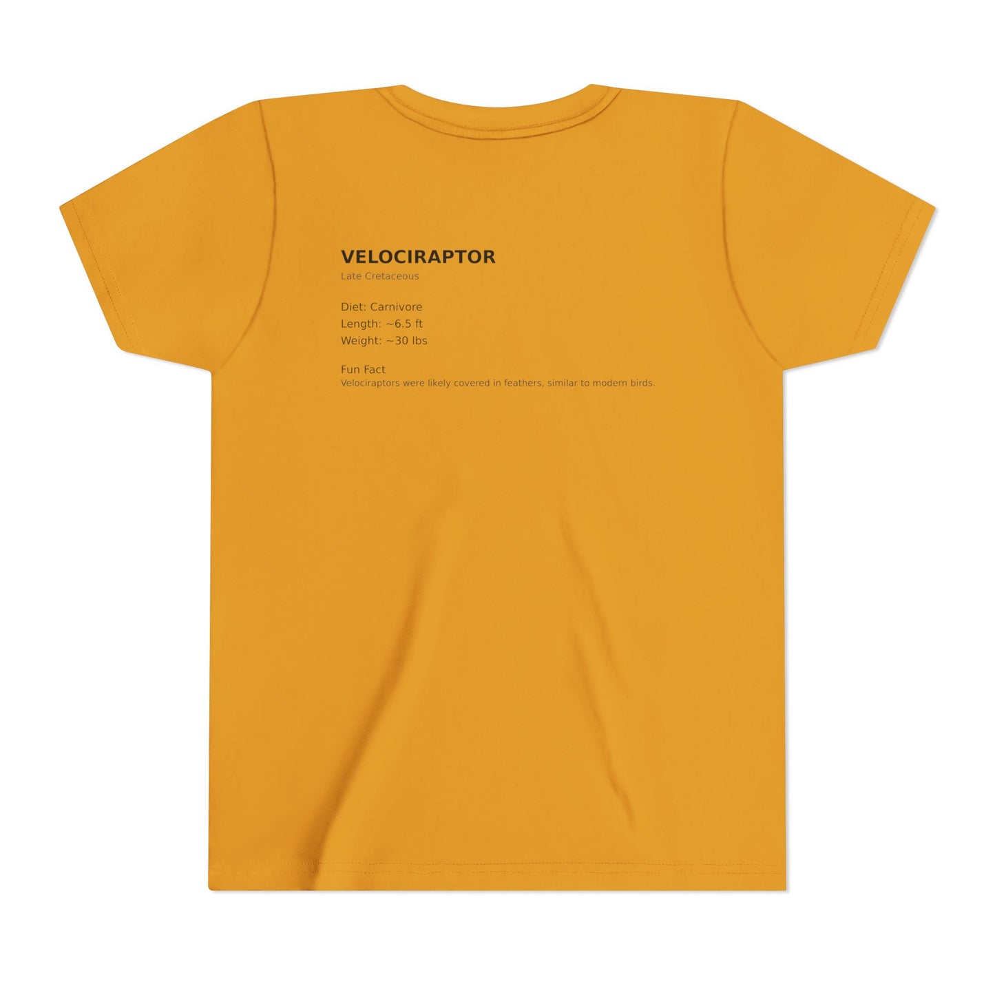 Velociraptor educational youth t-shirt