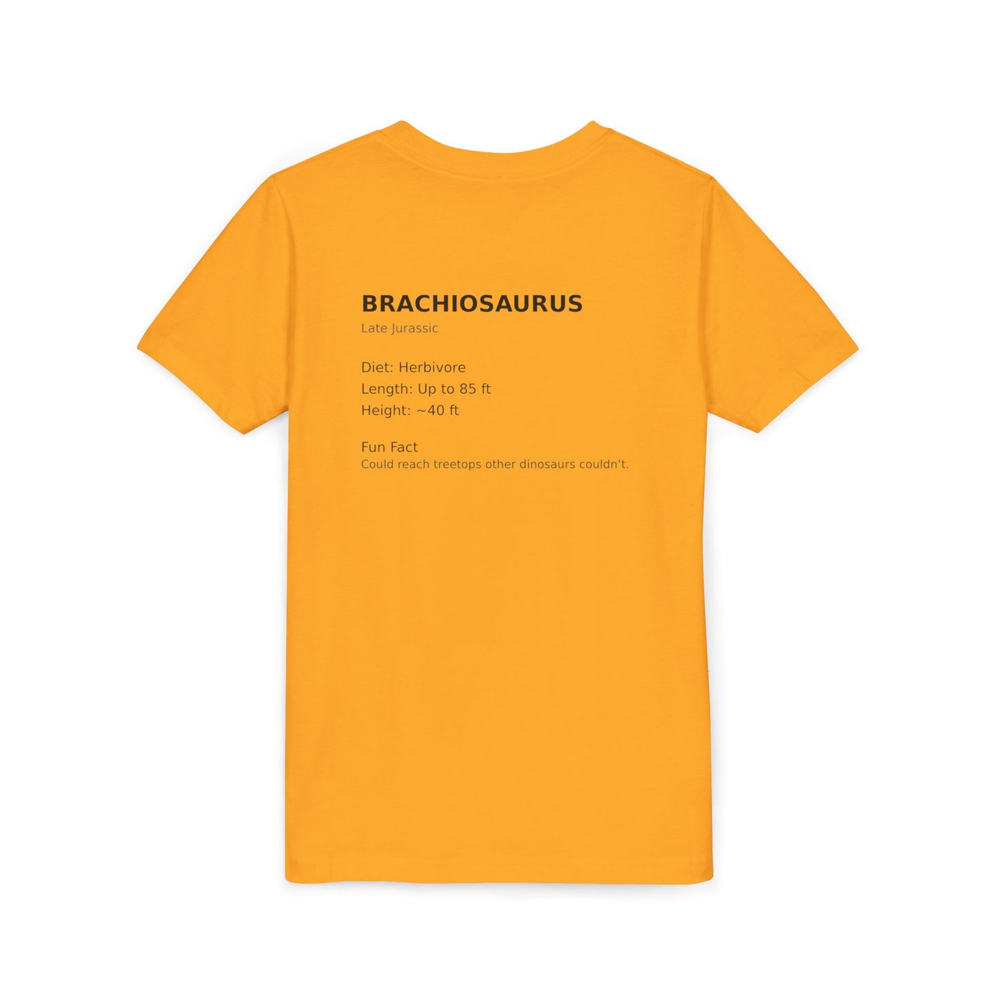 Brachiosaurus educational youth t-shirt