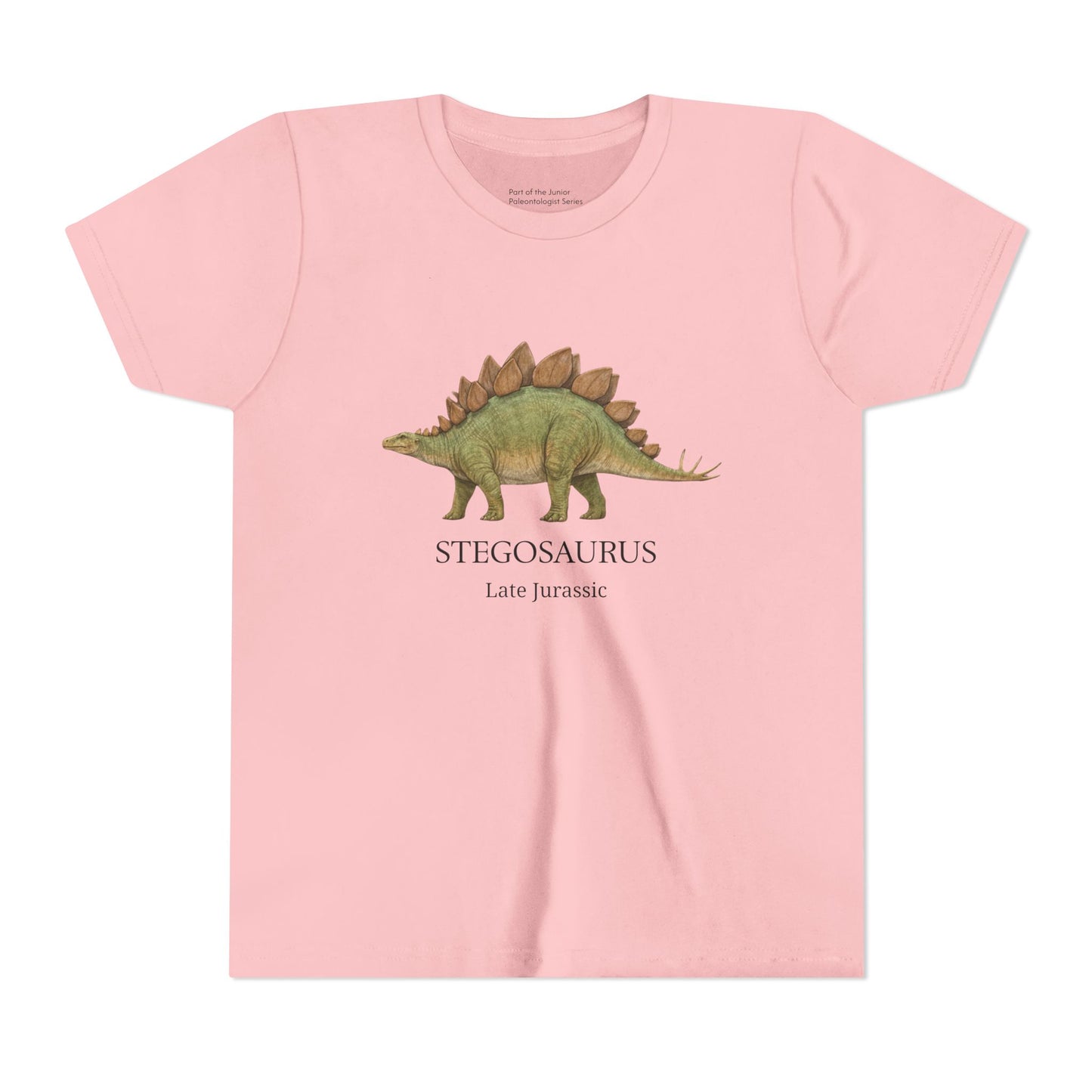 Stegosaurus educational youth t-shirt