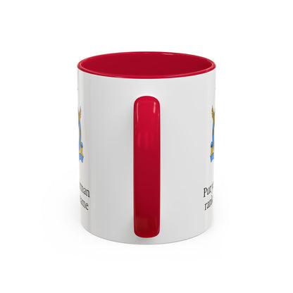 Pakistani Airforce Mug