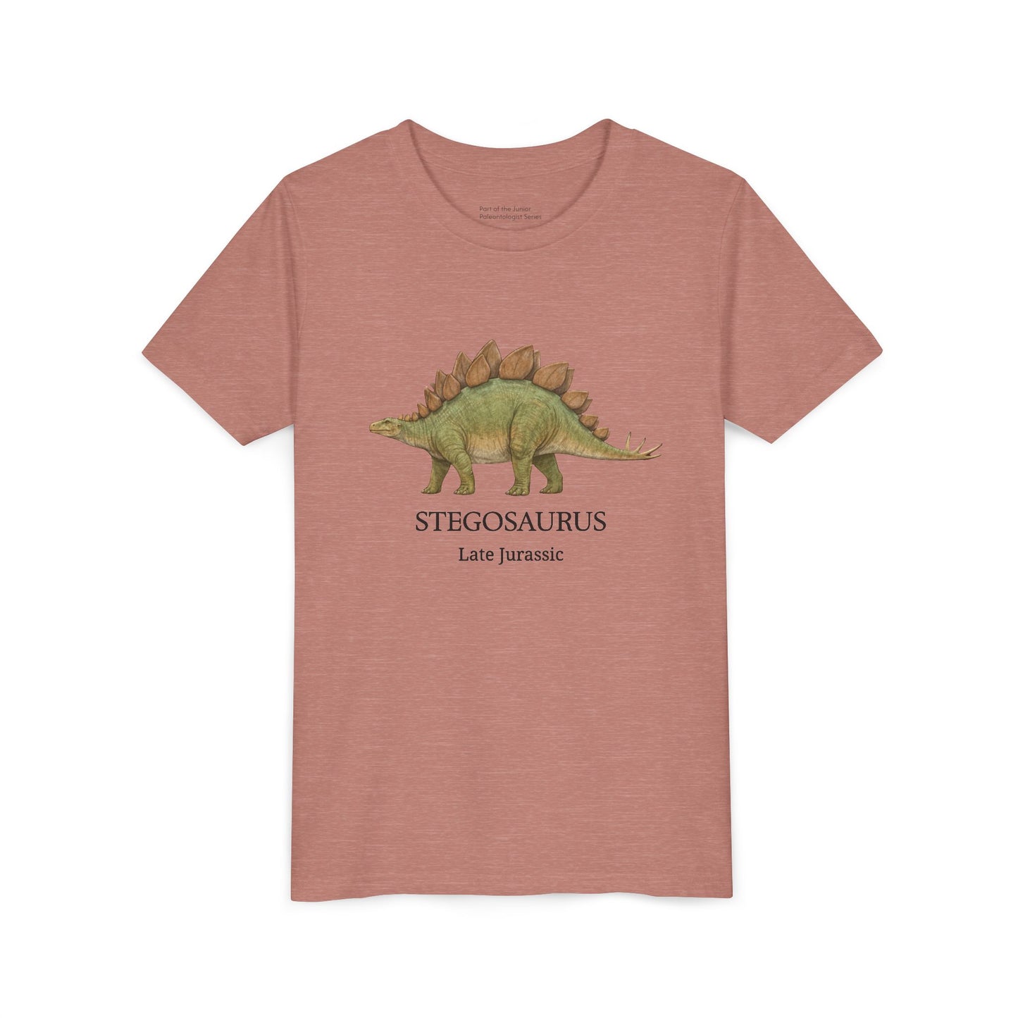 Stegosaurus educational youth t-shirt