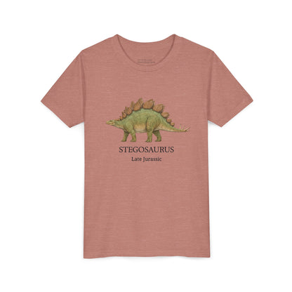 Stegosaurus educational youth t-shirt