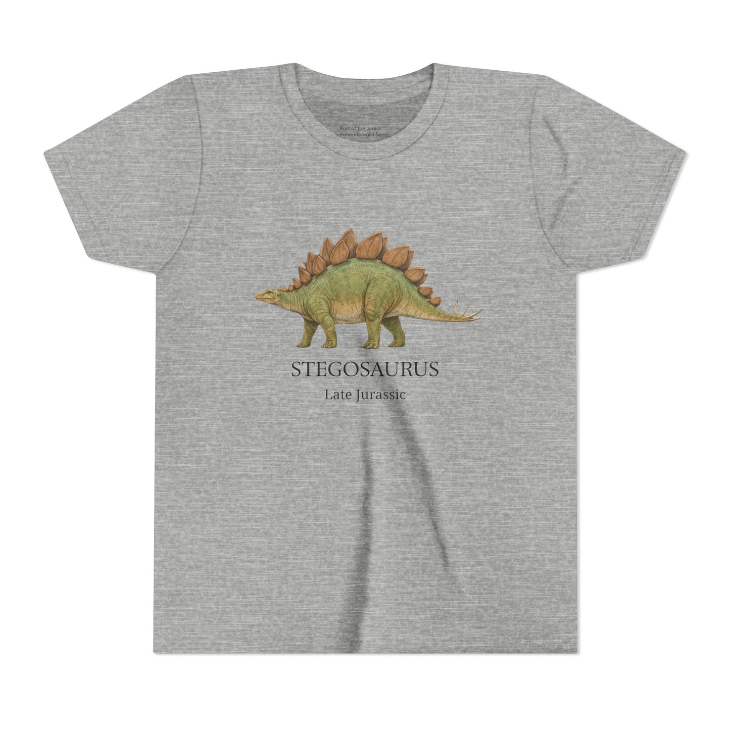 Stegosaurus educational youth t-shirt