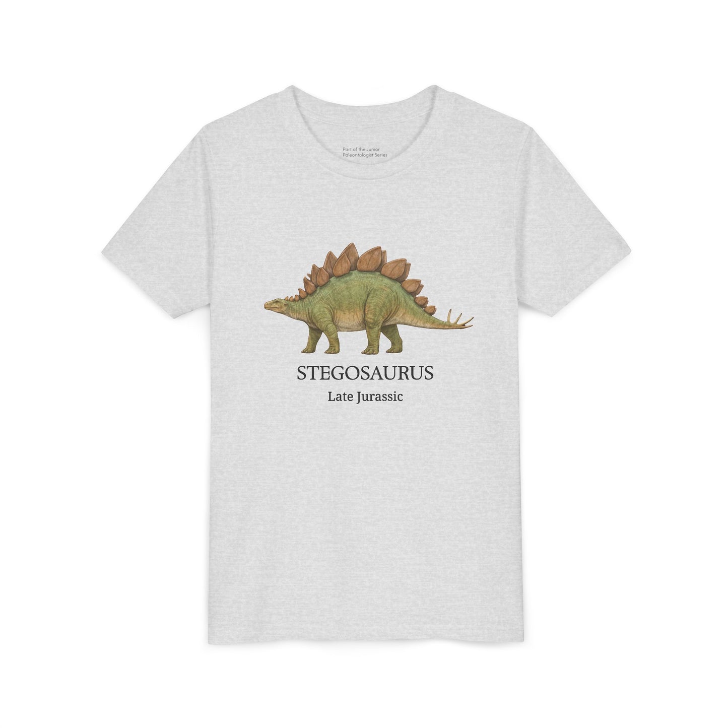 Stegosaurus educational youth t-shirt