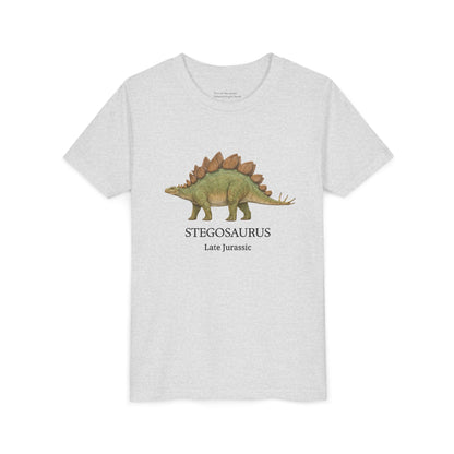 Stegosaurus educational youth t-shirt