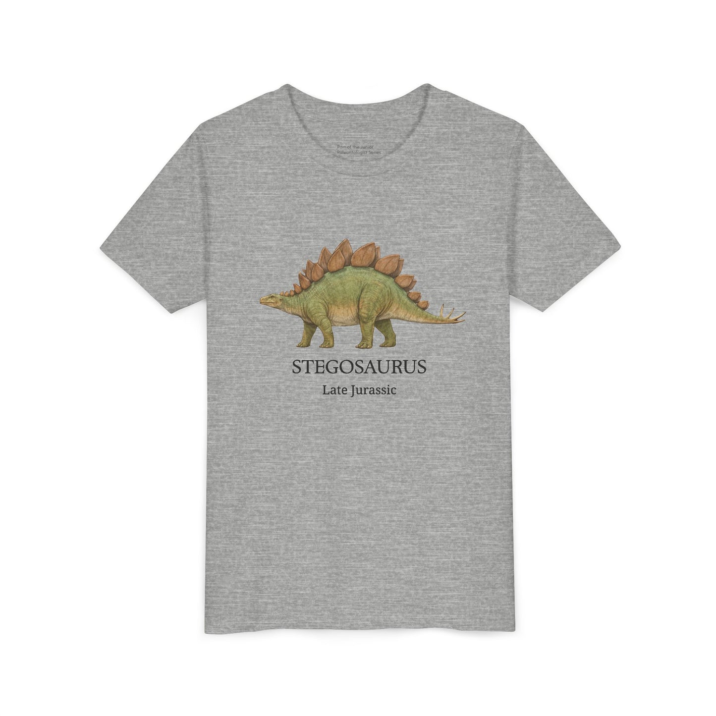 Stegosaurus educational youth t-shirt