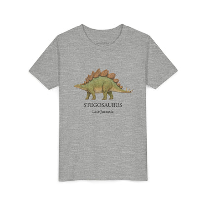 Stegosaurus educational youth t-shirt