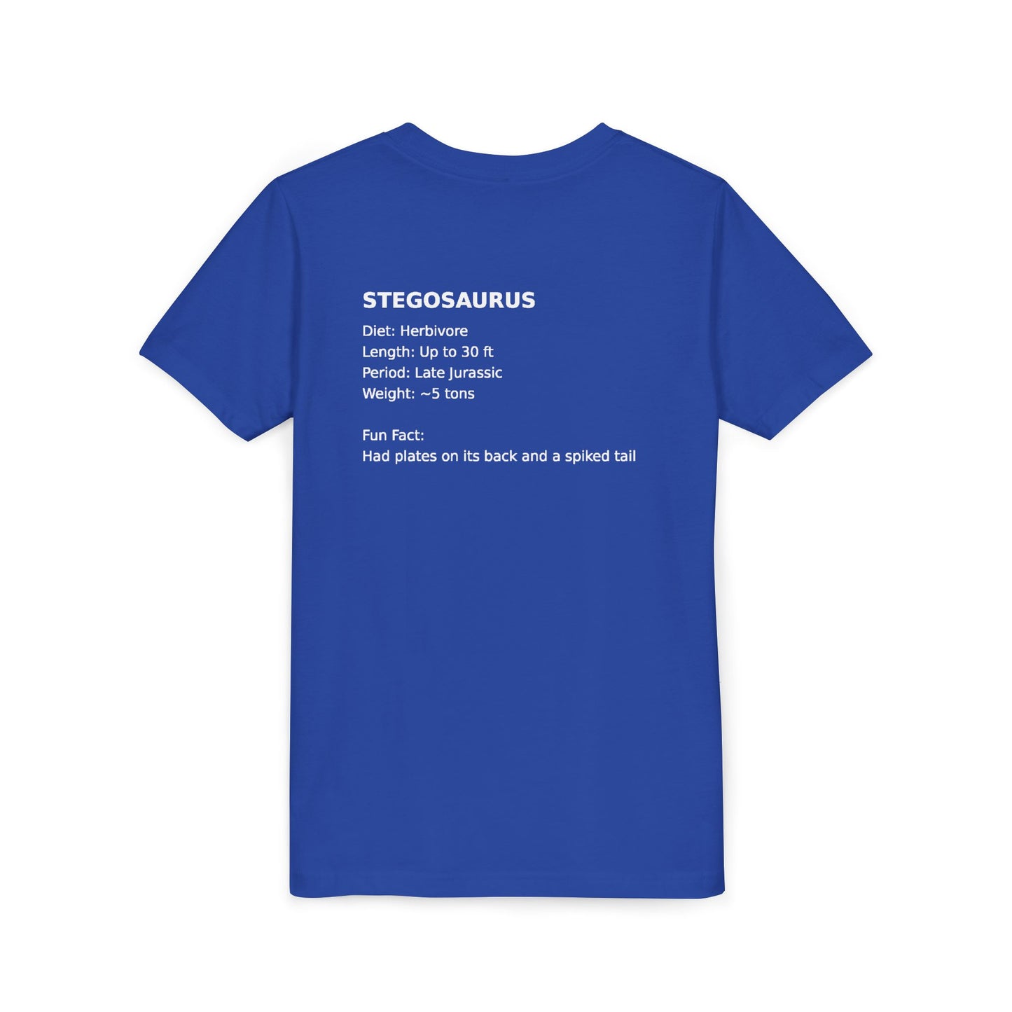 Stegosaurus educational youth t-shirt