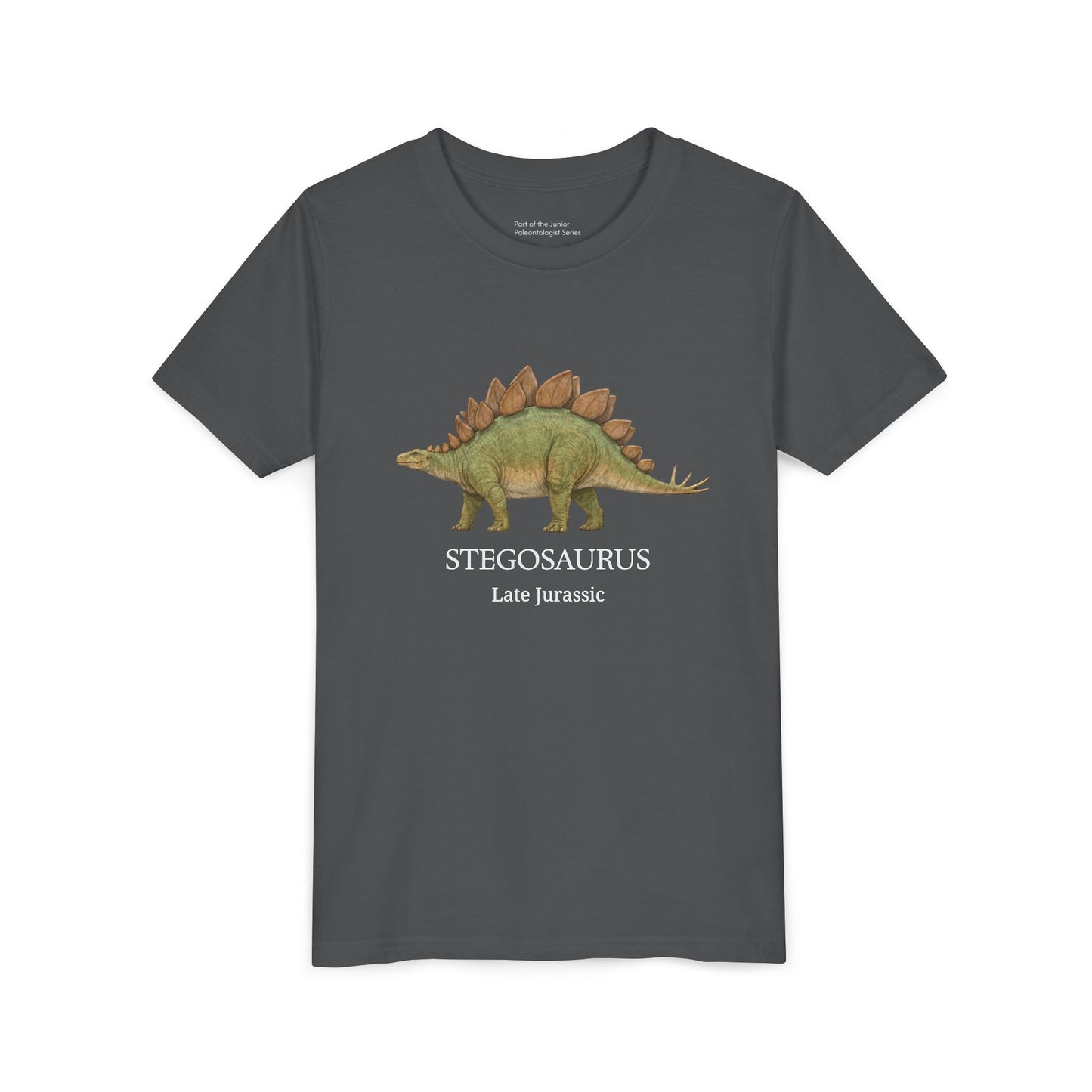 Stegosaurus educational youth t-shirt